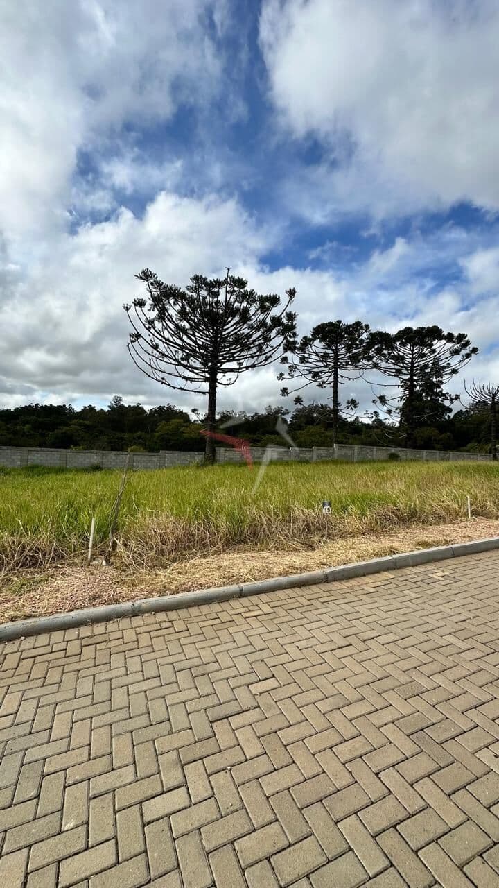 Lote/Terreno em Viamão - Sitio São José