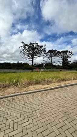 Lote/Terreno em Viamão - Sitio São José