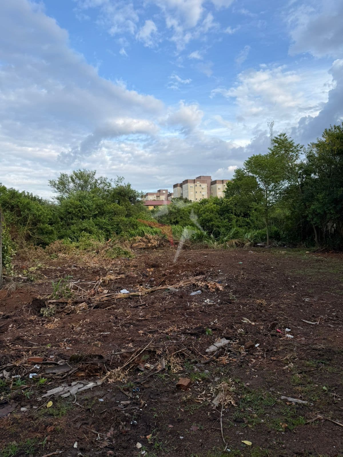 Lote/Terreno em Viamão - Cecília