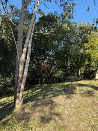 Sítio com 7.688m² de área total, no bairro Espigão