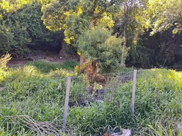 Lote/Terreno em Viamão - Fiuza
