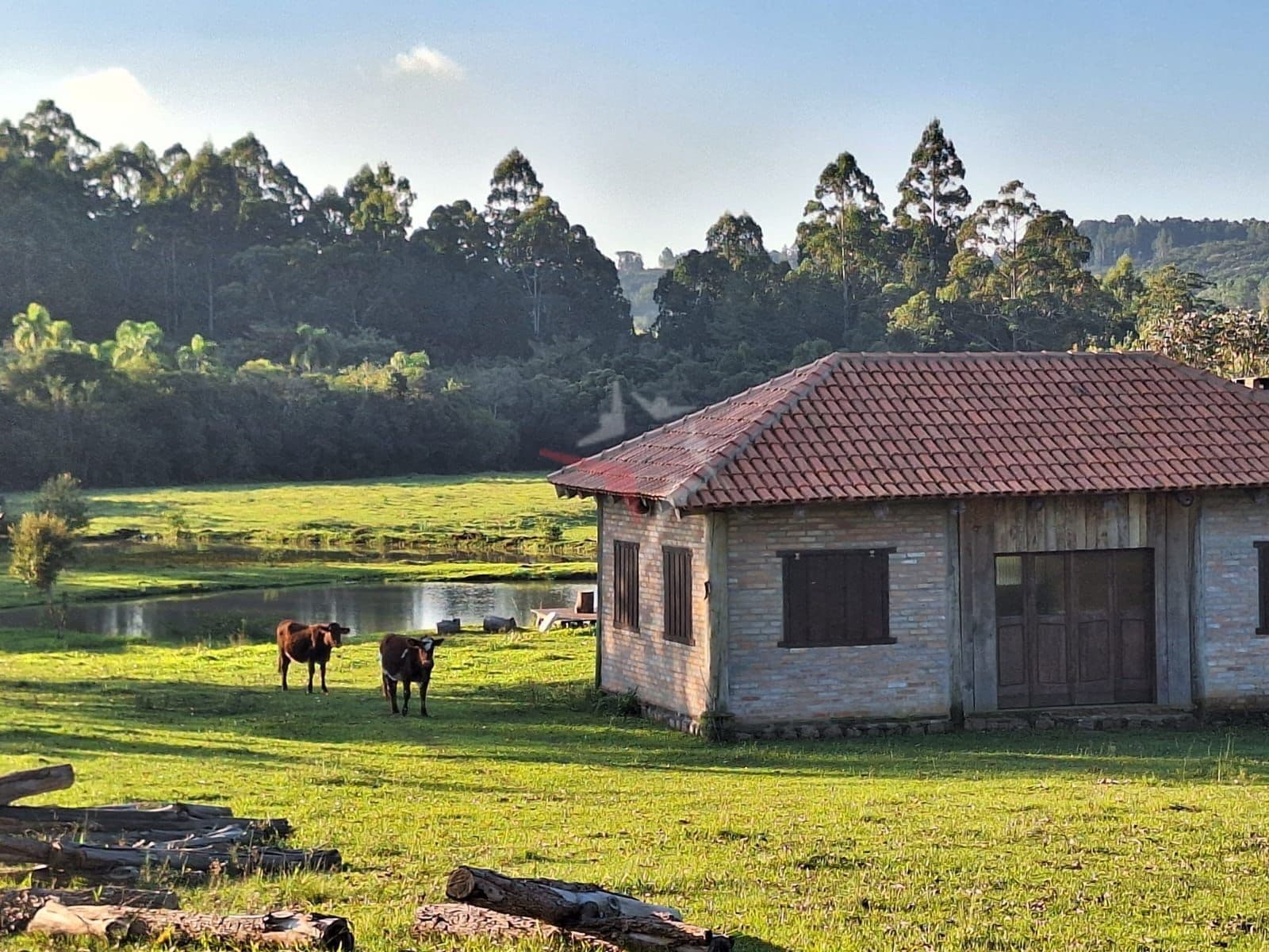 Encantador Sítio com 5 Hectares Planos – Perfeito para Lazer ou Investimento