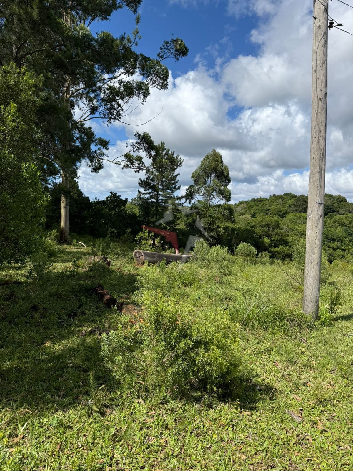 Fazenda/Sítios/Chácaras em Viamão - Passo da Areia