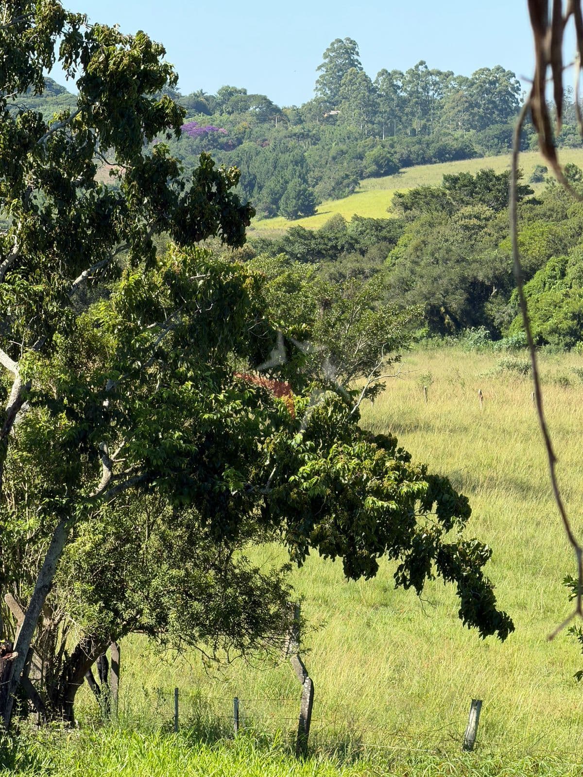 Lote/Terreno em Viamão - Centro