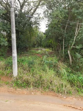 Lote/Terreno em Viamão - Centro