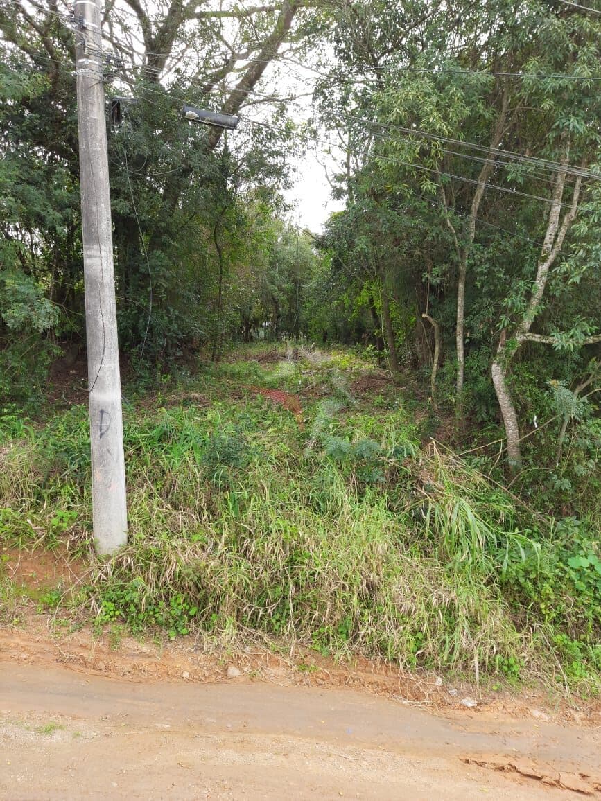 Lote/Terreno em Viamão - Centro