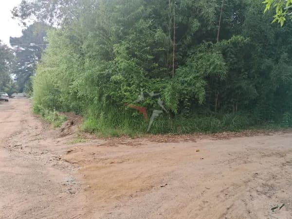 Lote/Terreno em Viamão - Tarumã