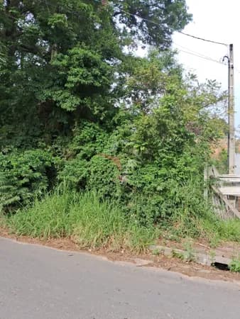Lote/Terreno em Viamão - Tarumã