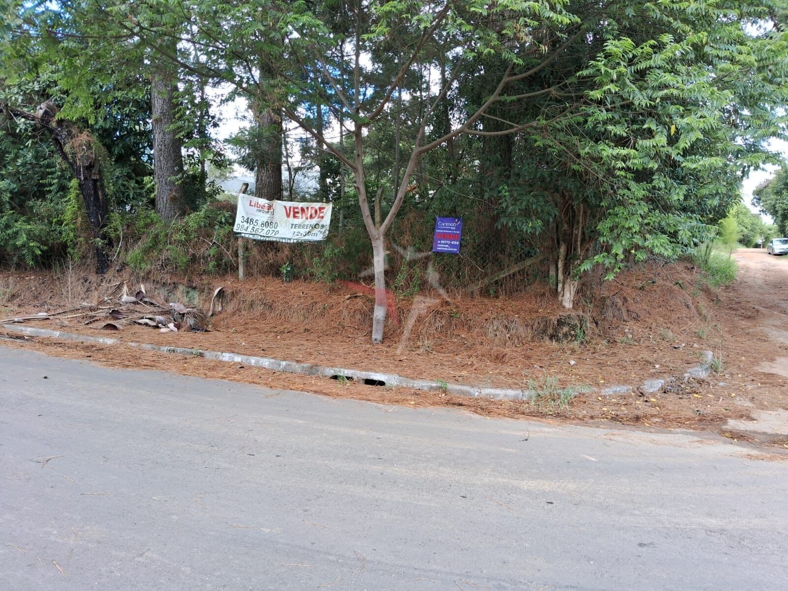 Lote/Terreno em Viamão - Tarumã