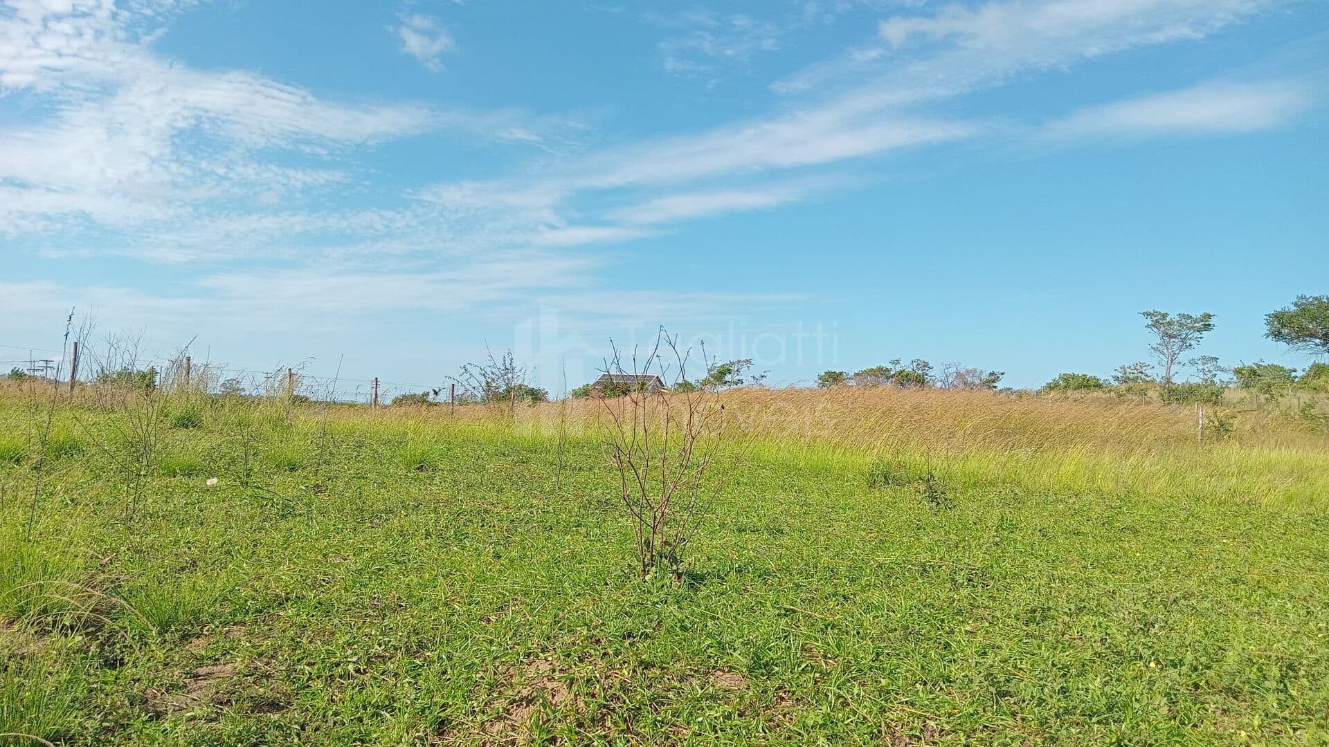Terreno plano 2079m2 Área Residencial/Comercial