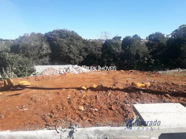 Terreno Lote para Venda em Cristo Rei Laranjeiras do Sul-PR