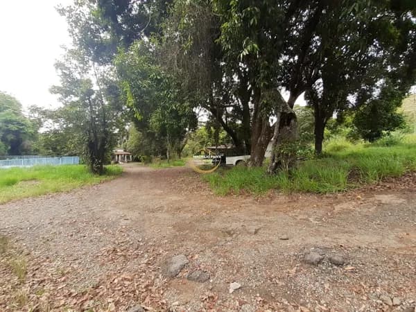 Terreno à venda, 47000 m² por R$ 20.000.000 - Cruzeiro de Santo Antônio - Juiz de Fora/MG