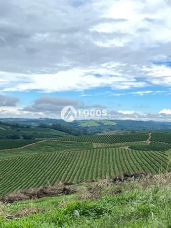 Fazenda produtiva à venda em Guaxupé/MG