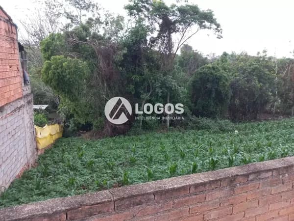 Grande lote à venda em Passos/MG