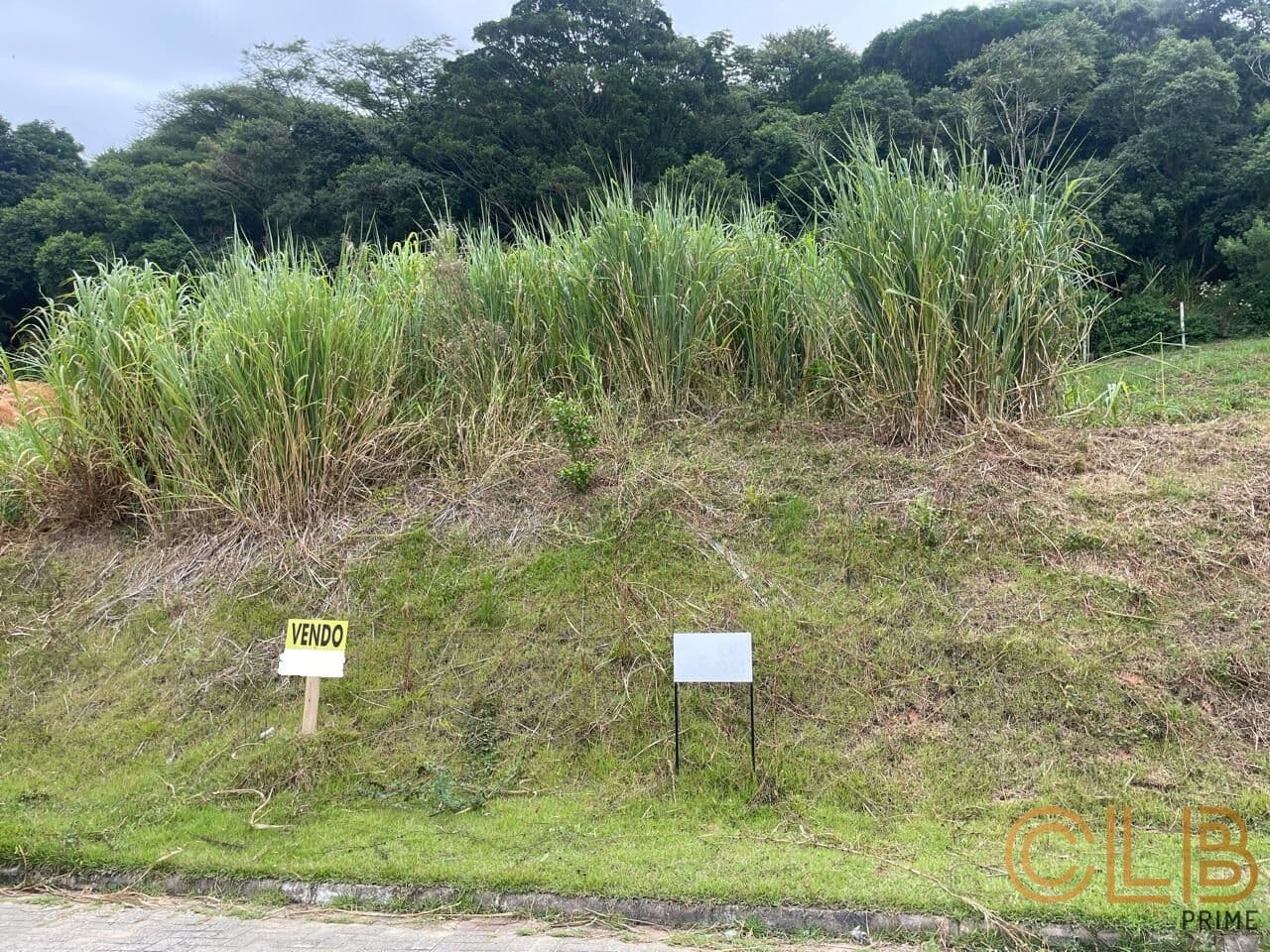 Terreno na Praia Comprida com vista mar