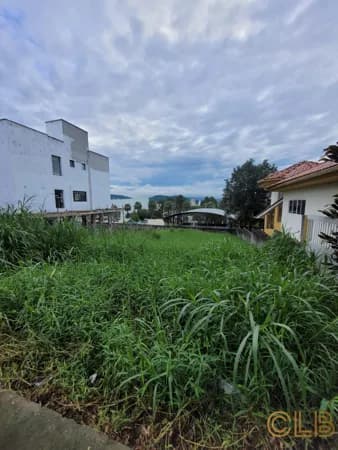 Terreno Alto Padrão