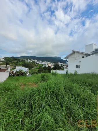 Terreno Alto Padrão