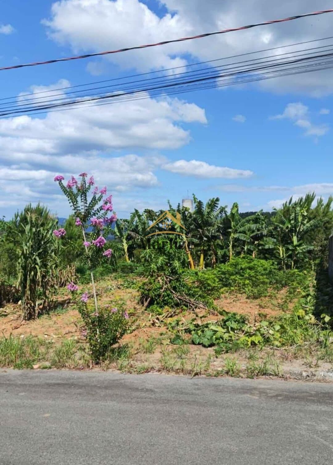 Lote/Terreno em Jaraguá do Sul - Nereu Ramos