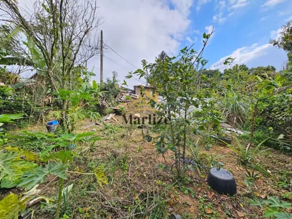 Lote/Terreno em Jaraguá do Sul - Nova Brasília