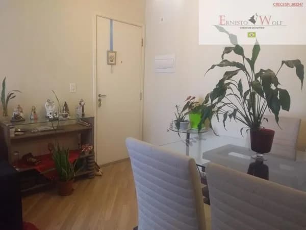Apartamento Padrão para Venda em Vila Moreira São Paulo-SP