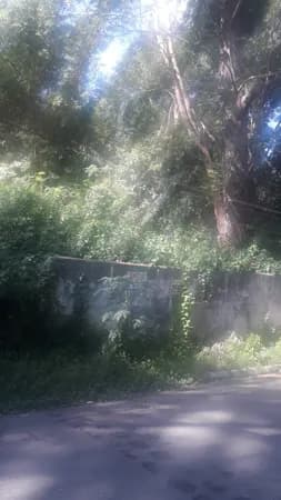 TERRENO - BARRO BRANCO /TUCURUVI - VENDA