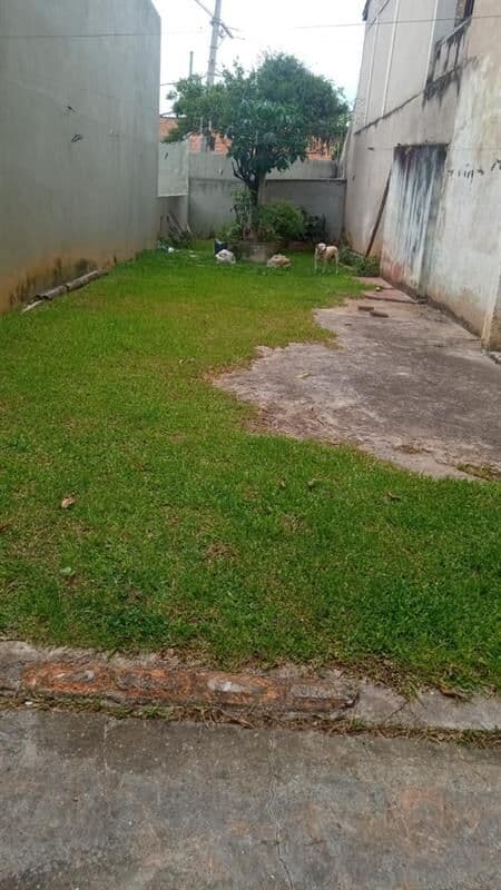 Terreno Lote em Vila Nova Mazzei