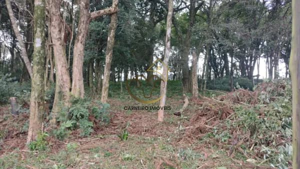 Lote/Terreno em Caxias do Sul - Bela Vista