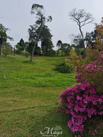 Lote/Terreno em Rancho Queimado - Invernadinha
