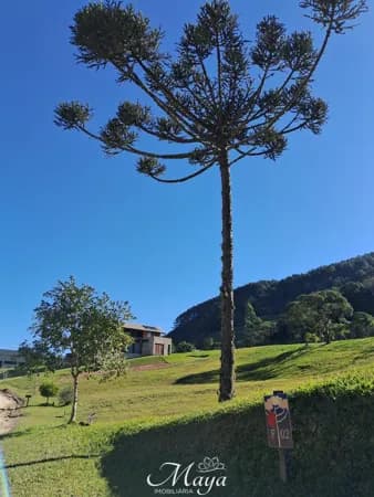Terreno Condomínio Costa da Serra