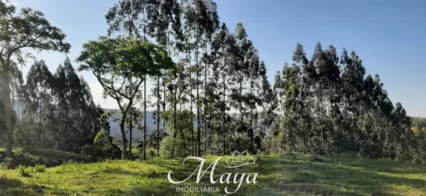 Área Rural - Campinho