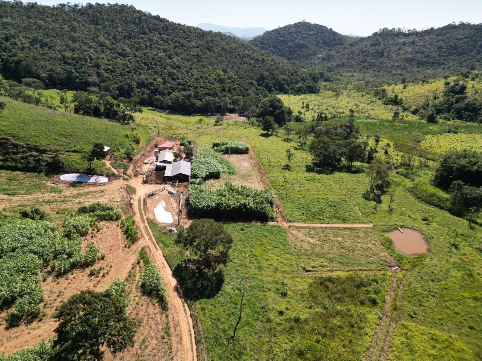 Fazenda/Sítios/Chácaras em Lima Duarte - Fazenda da Lage