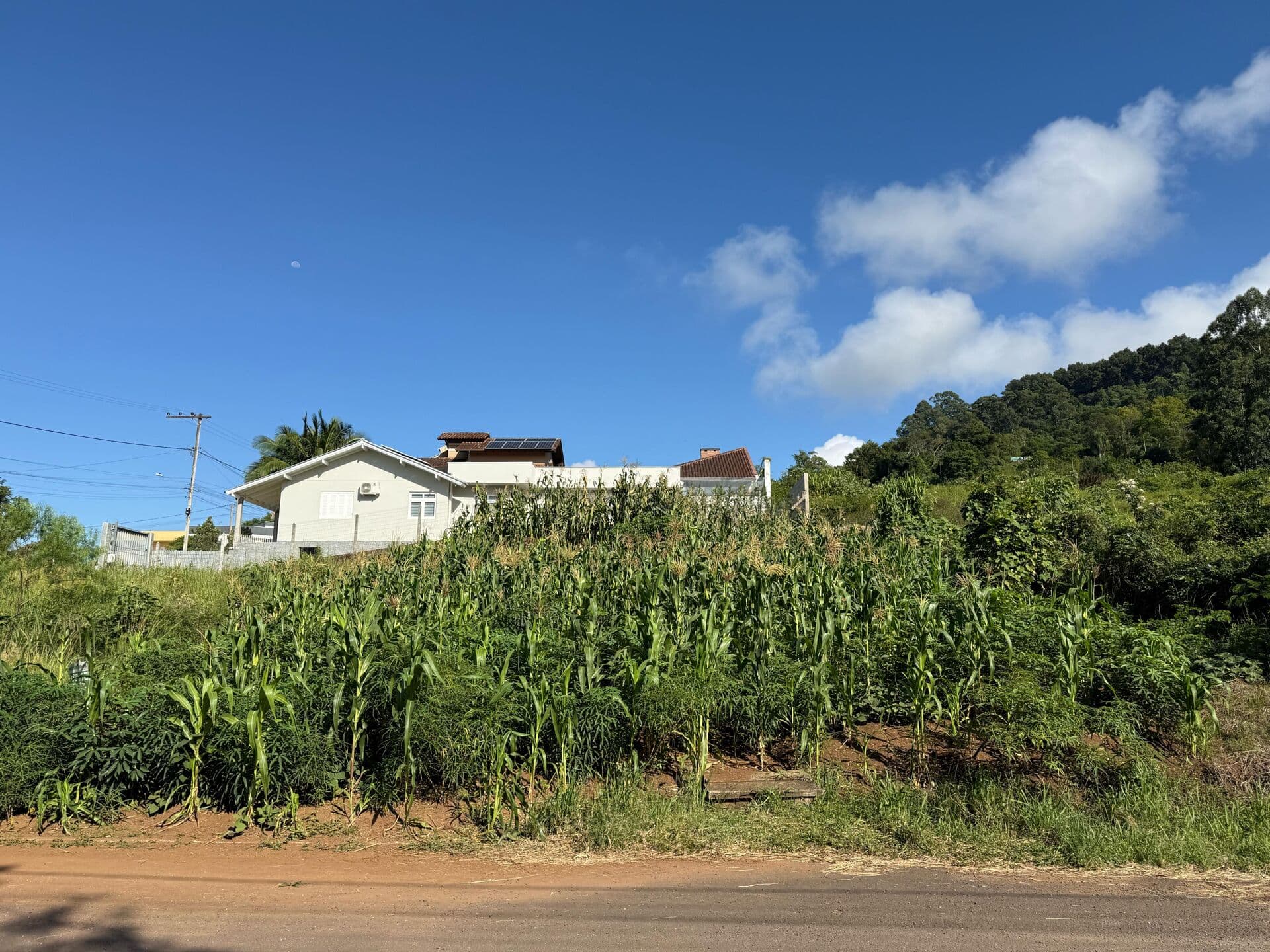 Terreno para Venda em Vale Verde Dois Irmãos-RS