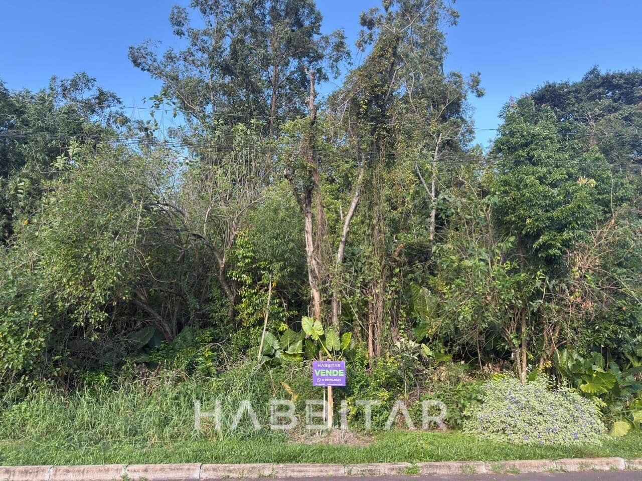 Lote/Terreno em Dois Irmãos - Industrial