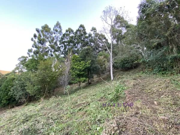 Chácara para Venda em Walachai Morro Reuter-RS