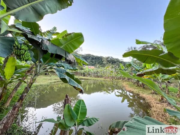 Chácara à venda em Antonina/PR