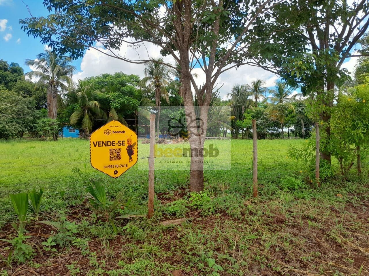 Sítio em Área Rural de Terenos, Terenos/MS