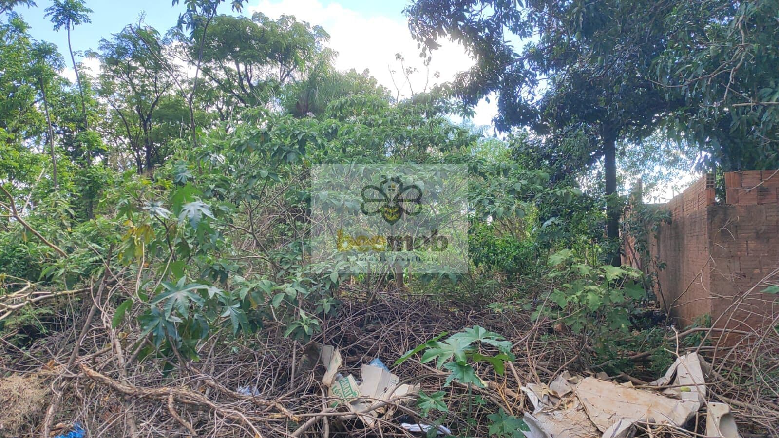 Terreno Lote em Jardim Noroeste, Campo Grande/MS
