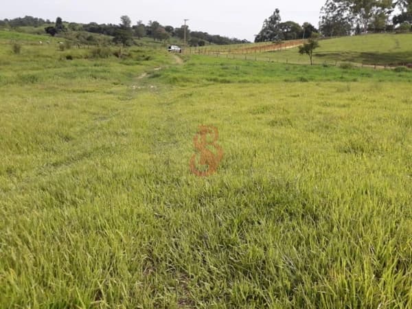 Fazenda/Sítios/Chácaras em Monte Mor - Chácara Primavera