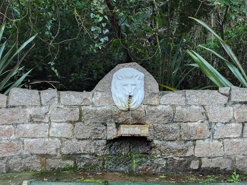 Oportunidade Única: Terreno com vista para o Lago!