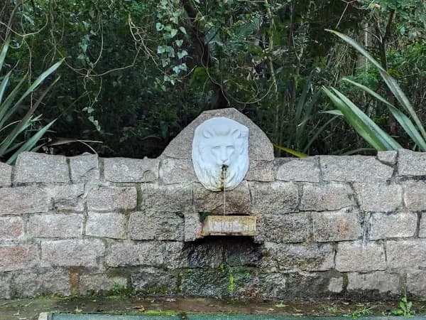 Oportunidade Única: Terreno com vista para o Lago!