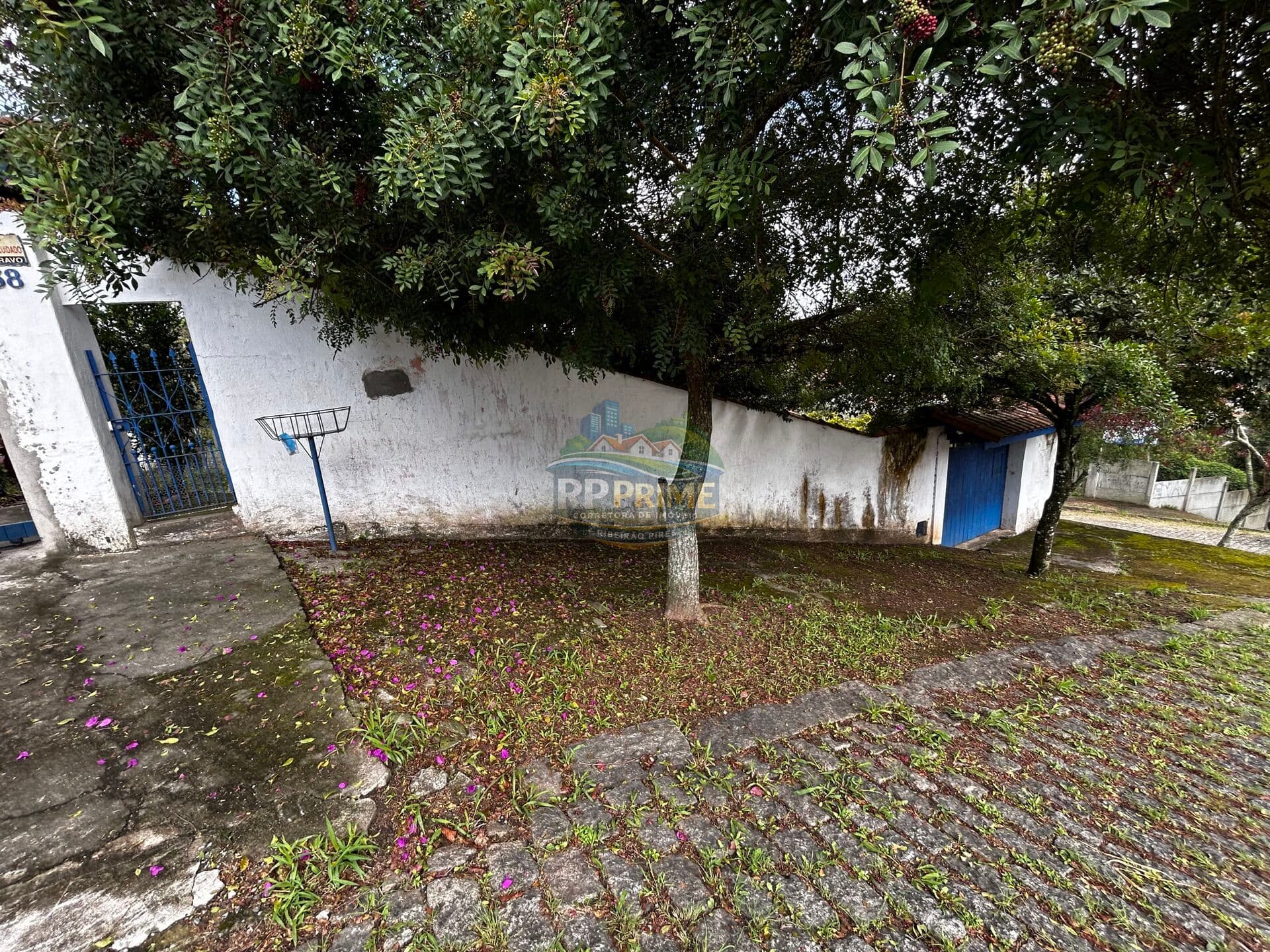 Terreno Centro Alto
