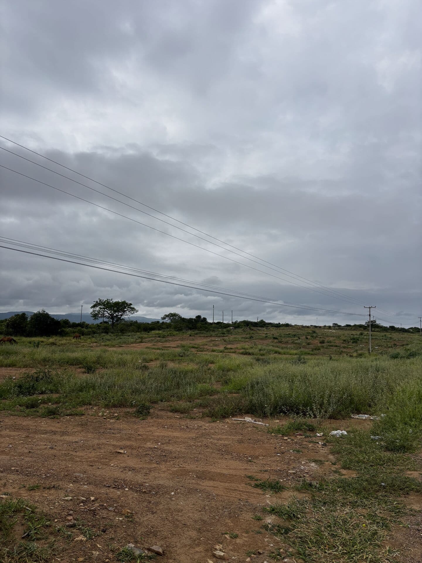 Lote/Terreno em Serra Talhada - Tancredo Neves