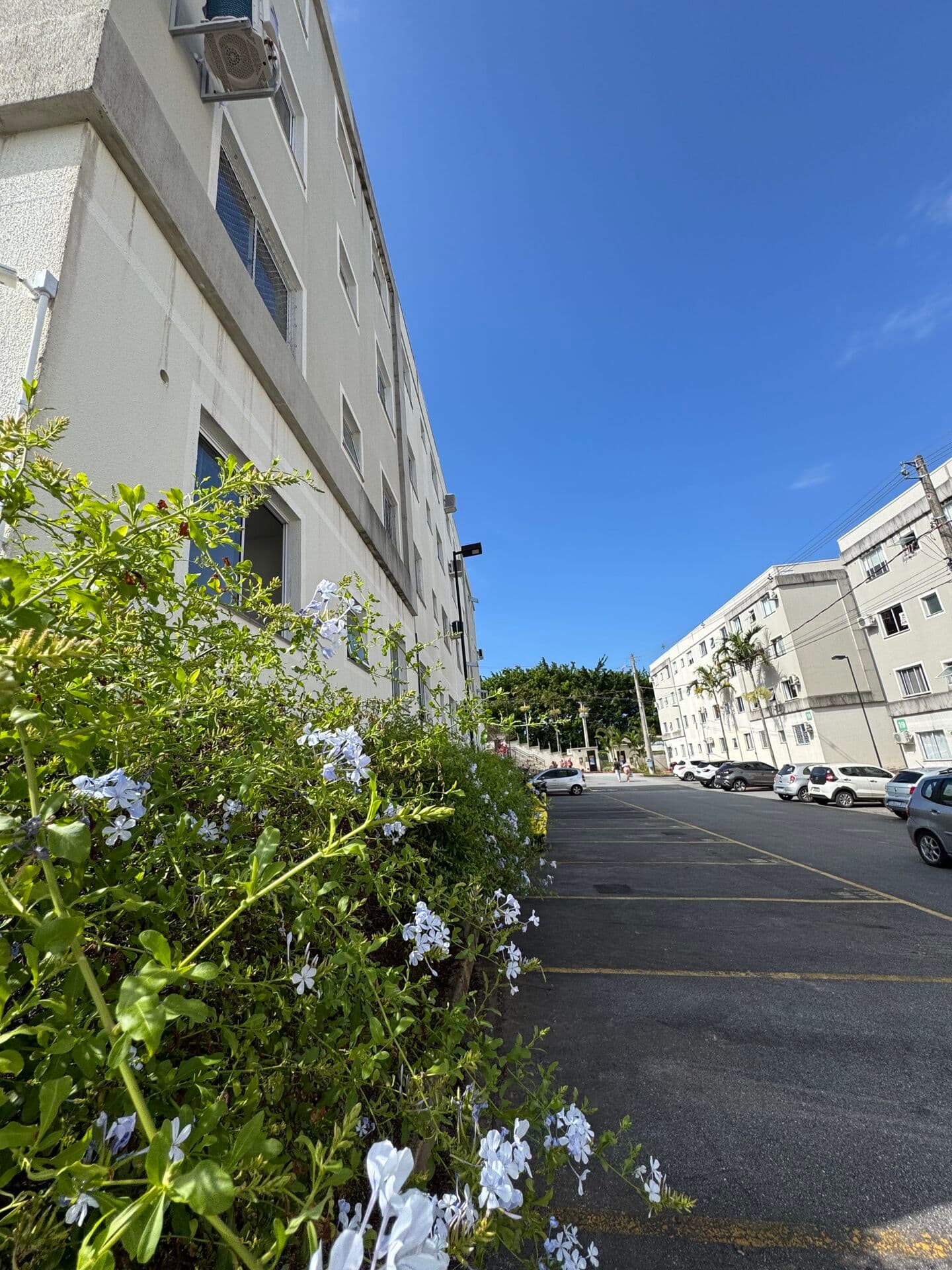 Apartamento 2 quartos no Residencial Bromélias – Vale Verde, Palhoça