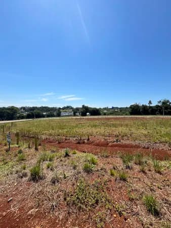 Lote/Terreno em Santa Cruz do Sul - João Alves