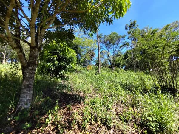 Lote à venda