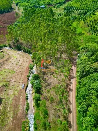 Área de terras à venda na Linha Bonita Alta em Salvador do Sul/RS