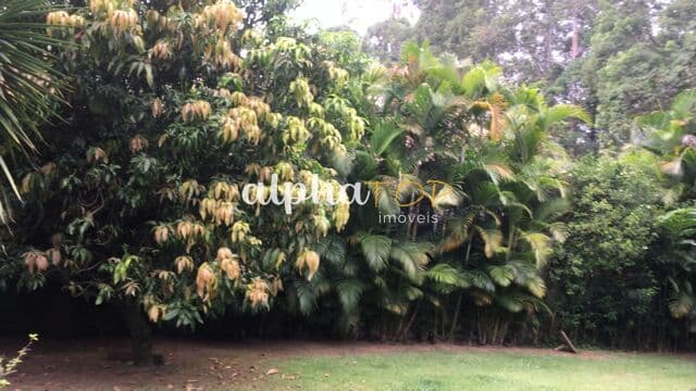 Lote/Terreno em Santana de Parnaíba - Alphaville