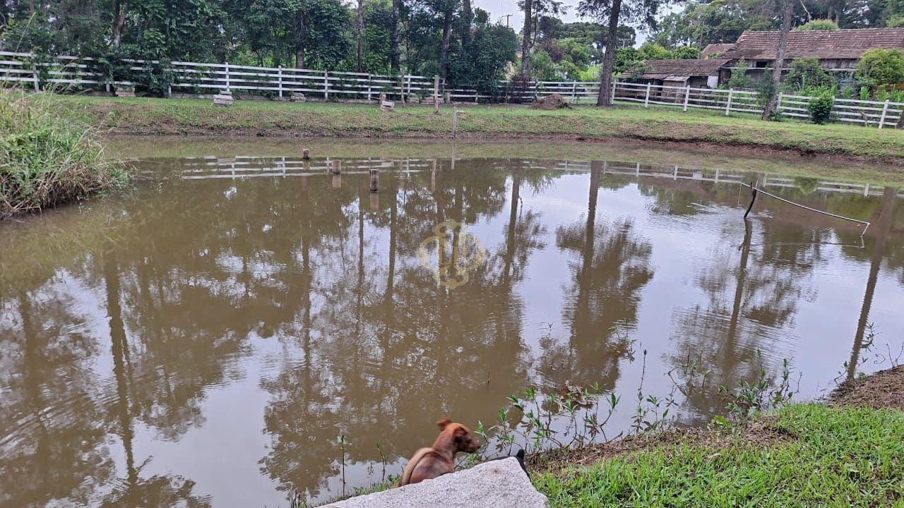 Chácara com 3 dormitórios à venda, 7774 m² - Campina Do Taquaral - São José dos Pinhais/PR