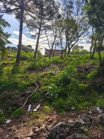 Terreno Petrópolis, Passo Fundo/RS