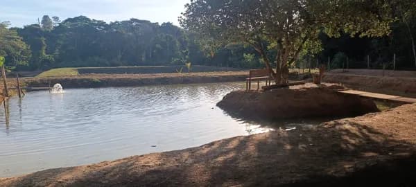 CHÁCARA À VENDA – BELA VISTA DE GOIÁS, 10.000m², RICA EM ÁGUA